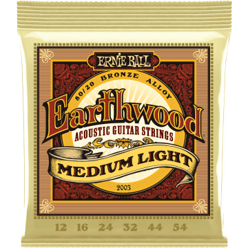 Ernie Ball Earthwood Acoustic 80/20 Medium Light 2003