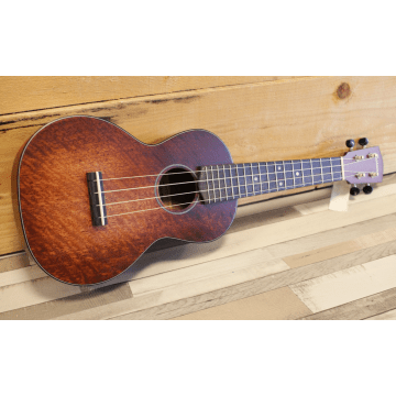 Eastman EU1-C Concert