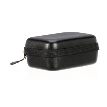 Positive Grid Spark Go Case