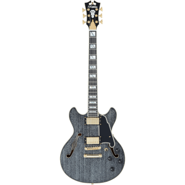 D'angelico Excel Mini DC, Black Dog