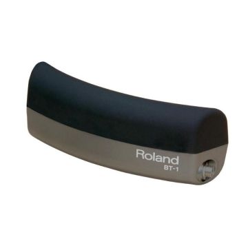 Roland BT-1