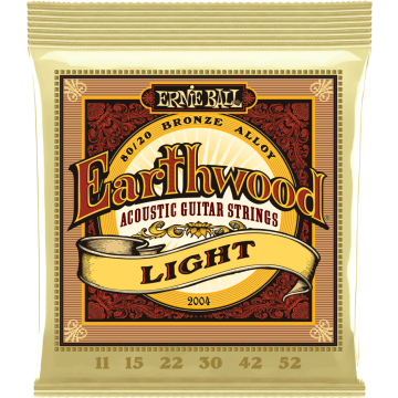 Ernie Ball Earthwood Acoustic 80/20 Light 2004