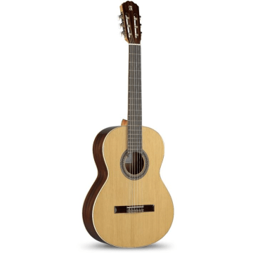 Alhambra 2C incl. gigbag