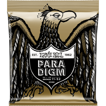 Ernie Ball PARADIGM Acoustic Light 2088