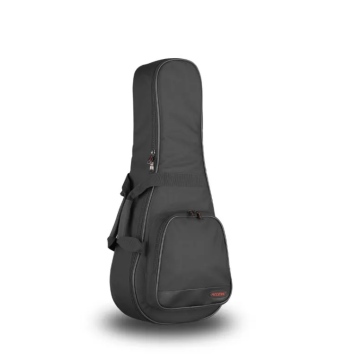 Access Stage 1 Mandolin Gig Bag